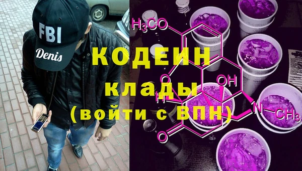 амф Новозыбков