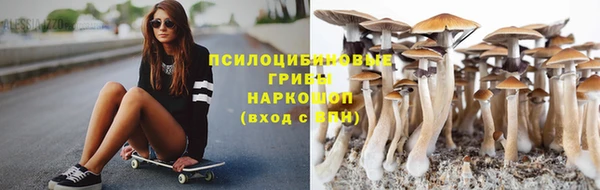 таблы Алексеевка