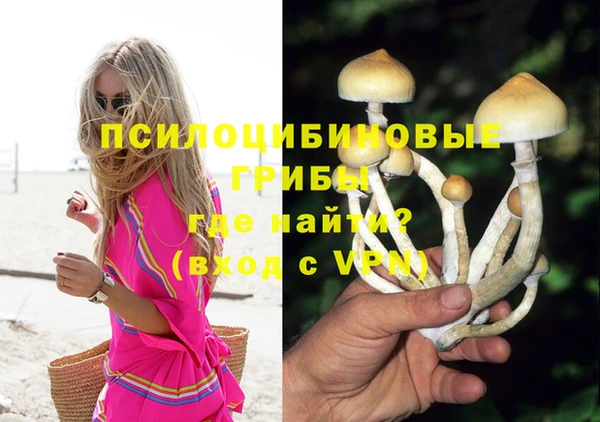 скорость Алексин