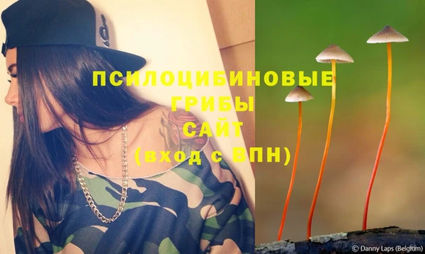 mdpv Алзамай