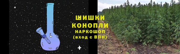 МДПВ Новокубанск